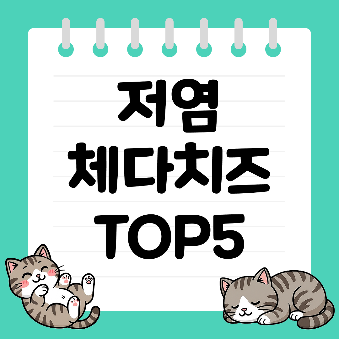건강하게 즐기는 저염 체다치즈 추천 순위 TOP5