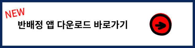 나이스 반배정 보는 법 앱 다운로드