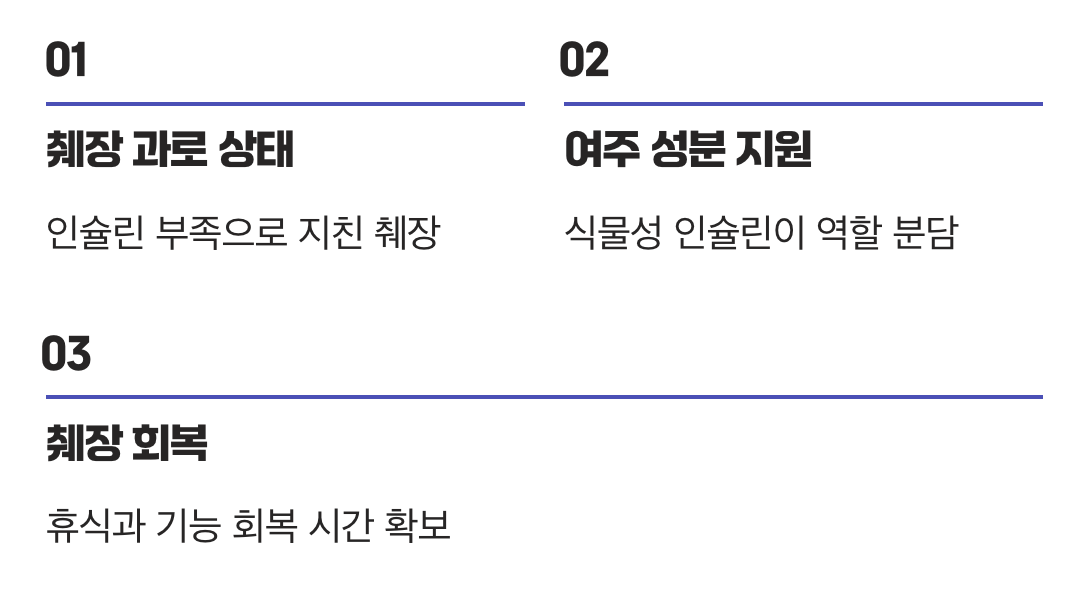 췌장의 부담을 덜어주는 고마운 지원군