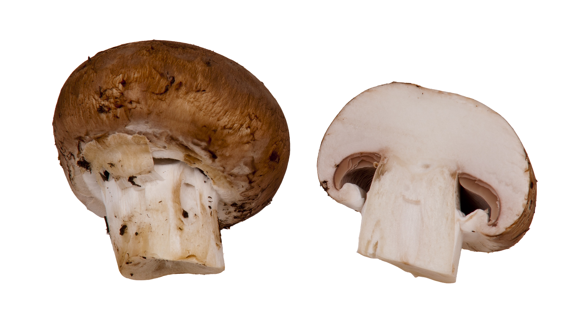 면역력 높이는 음식