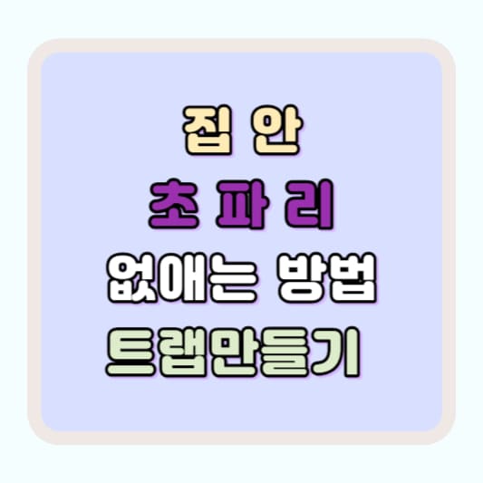 초파리 없애는 법 퇴치법