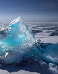 겨울철 무우보관법