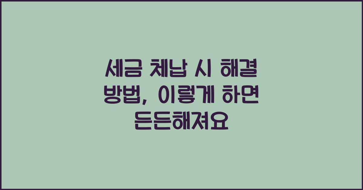 세금 체납 시 해결 방법