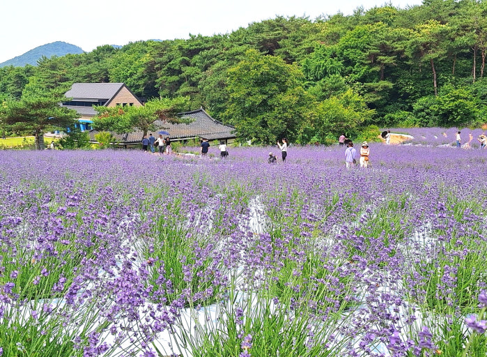고창 가볼만한곳 베스트10