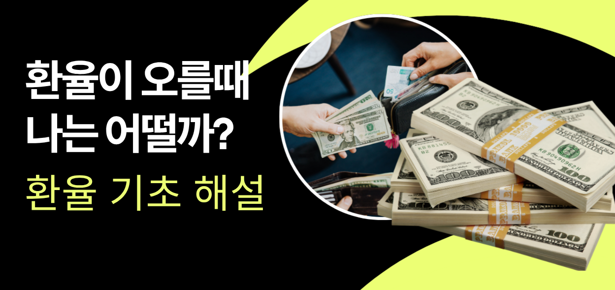 환율 기초 해설