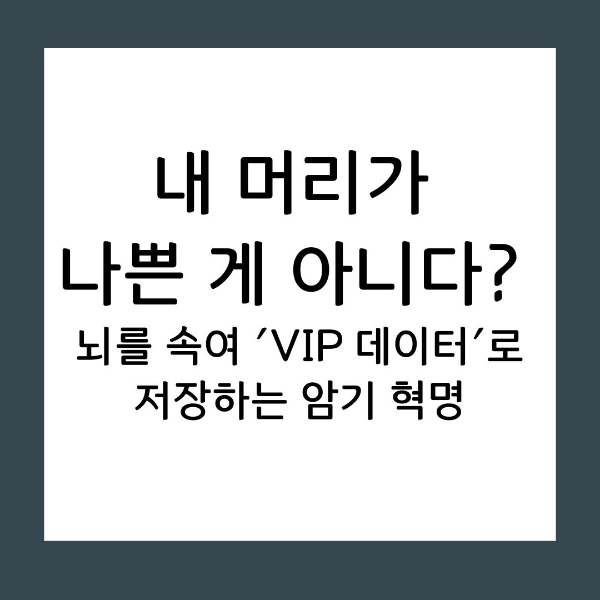 무작정 외우는 고통에서 벗어나세요. 뇌의 필터링 시스템을 이해하고, 스팸처럼 버려지던 지식을 장기 기억으로 전환하는 과학적인 '인출 전략'과 '맥락 학습법'을 공유합니다.