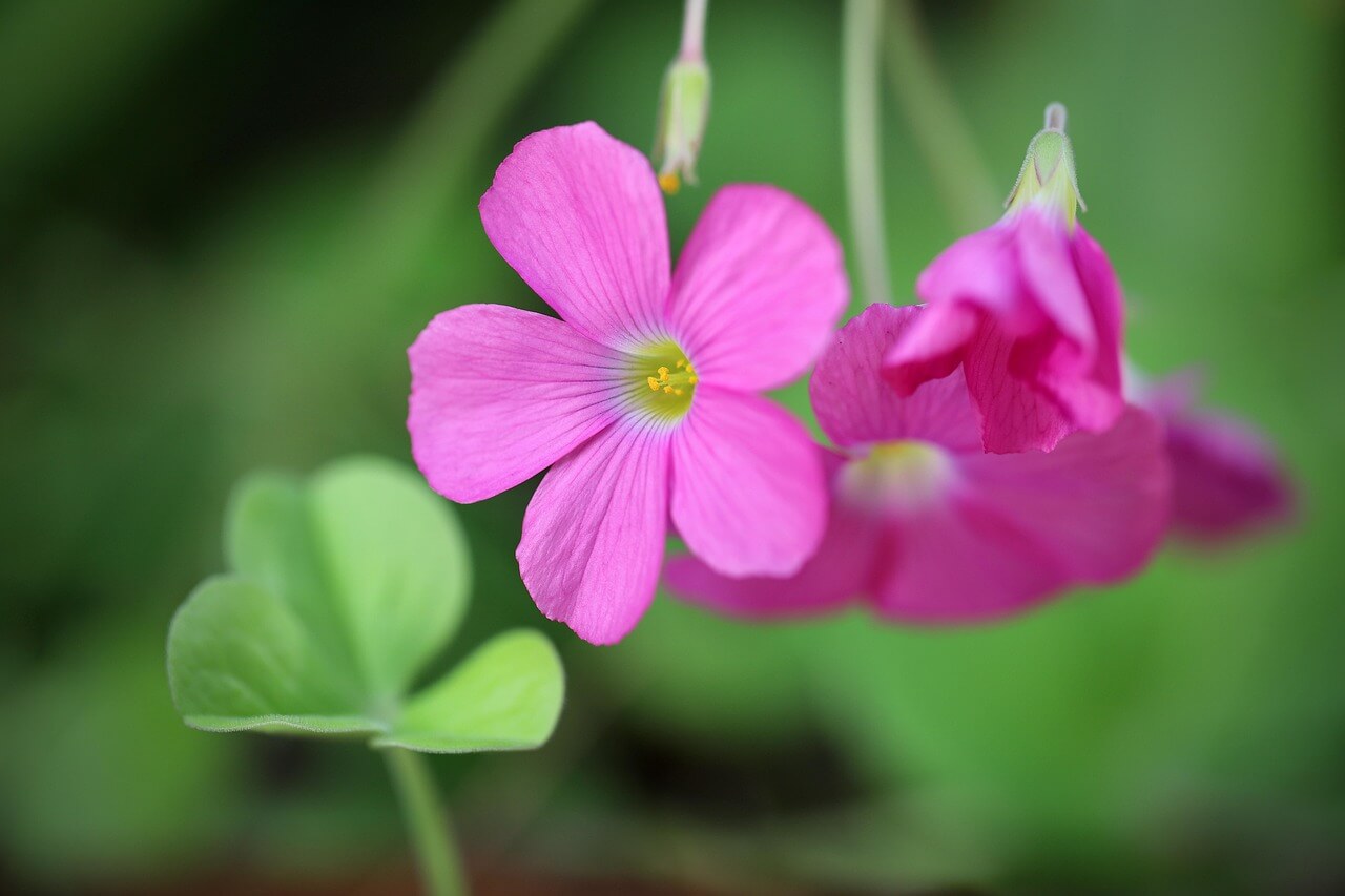 어깨 통증과 팔저림