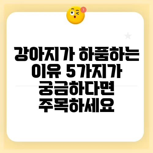 강아지가 하품하는 이유 5가지가 궁금하다면 주목하세요