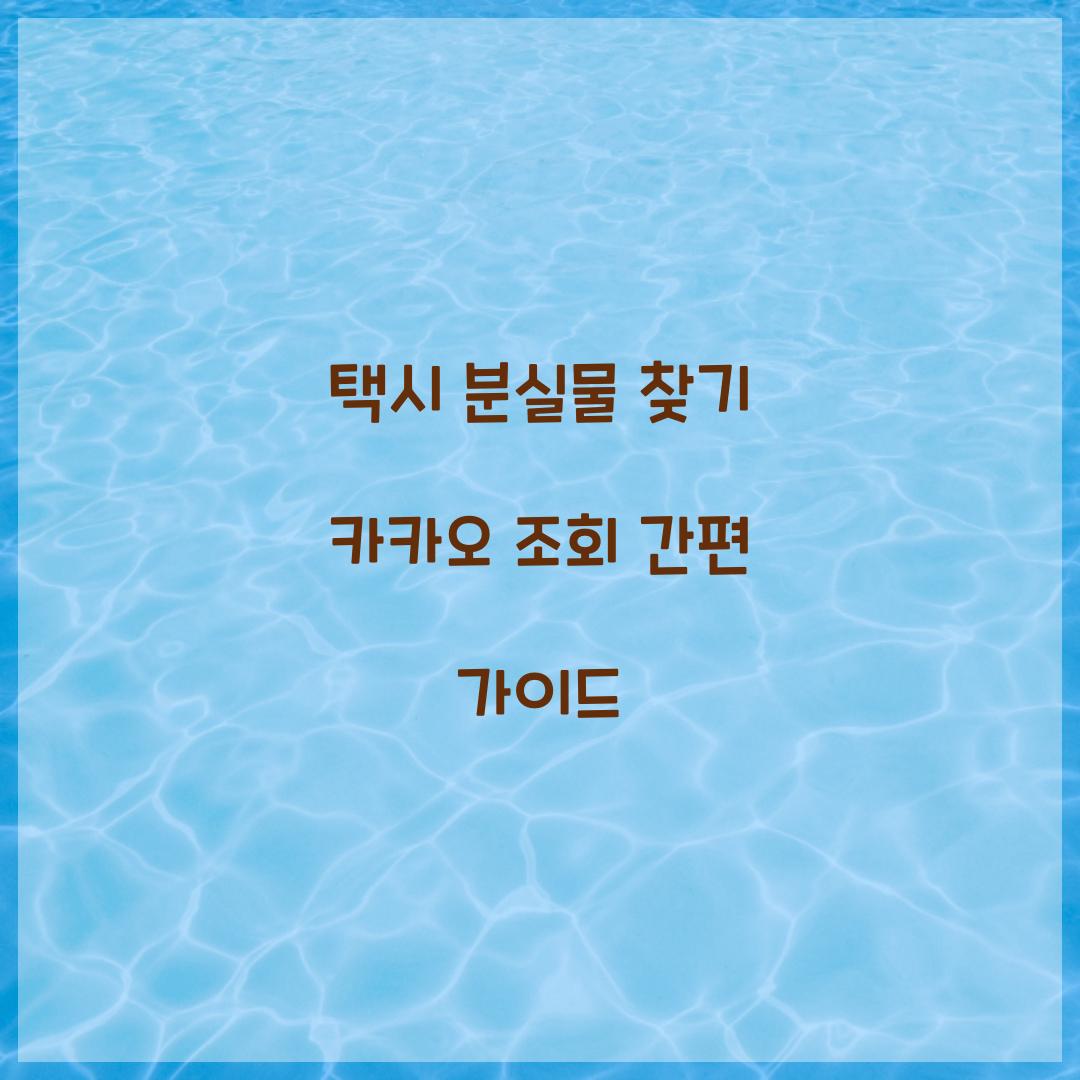 택시 분실물 찾기