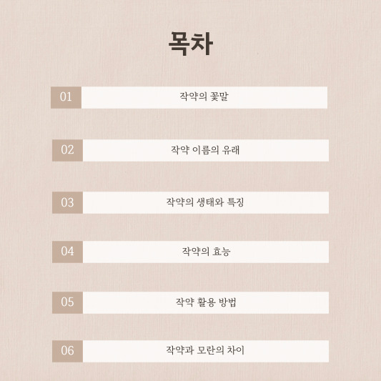 우아함의 정수, 작약 - 꽃말, 특징, 이름 유래, 효능, 활용법, 모란과의 차이까지 총정리 목차