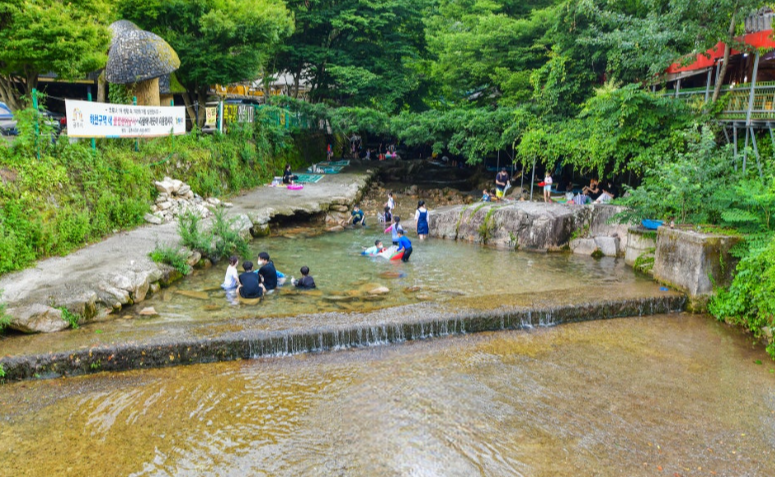 동학사계곡