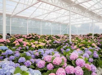 제주 여름 축제 일정표 불꽃놀이 포함 행사 소개_5