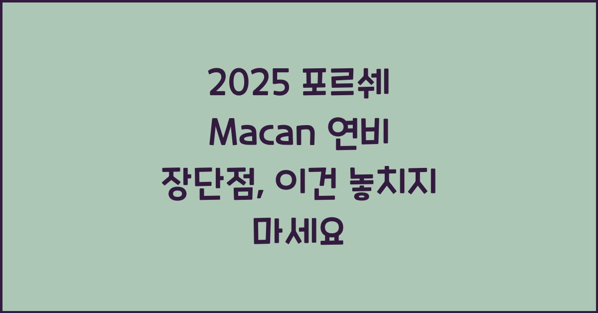 2025 포르쉐 Macan 연비 장단점