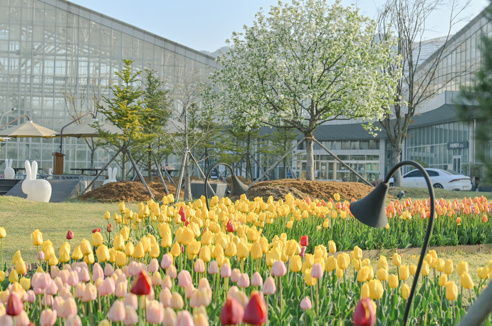 국립세종수목원