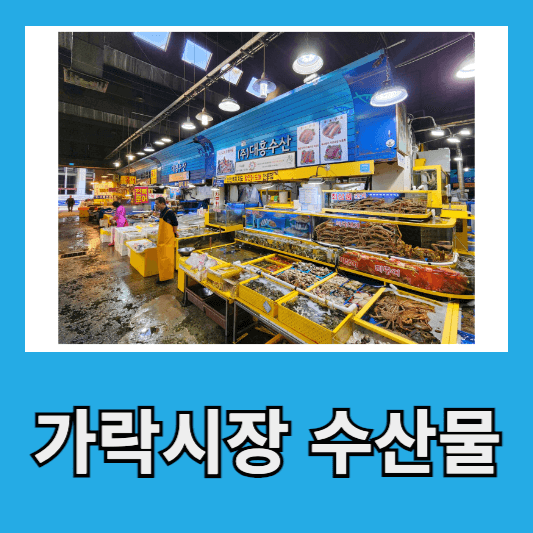 1. 가락시장 수산물 코너