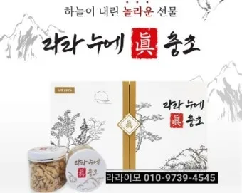 약용식물 동충하초 자연의 신비 건강 효능과 활용_23