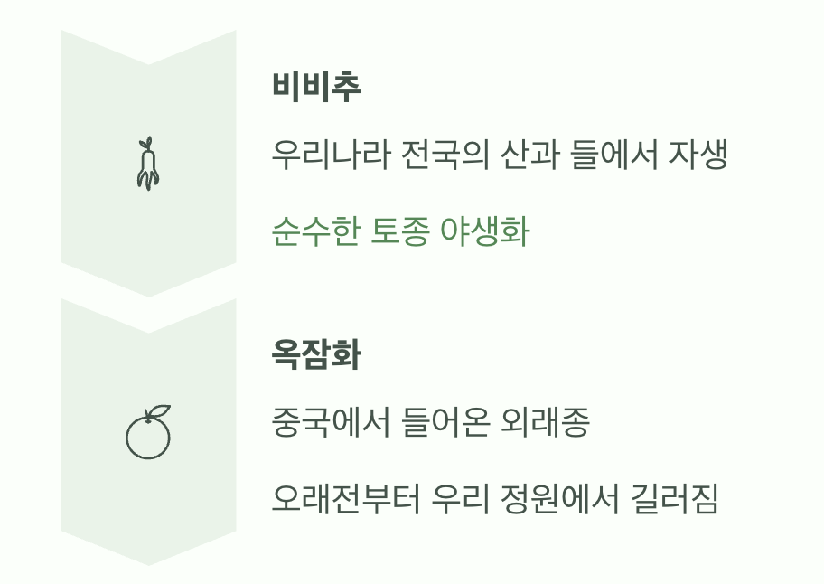 원조는 우리 것, '토종'과 '외래종'