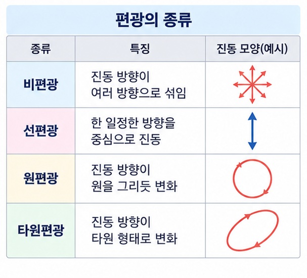 비편광 선편광 원편광 타원편광의 빛 진동 방향 차이를 표로 비교한 이미지