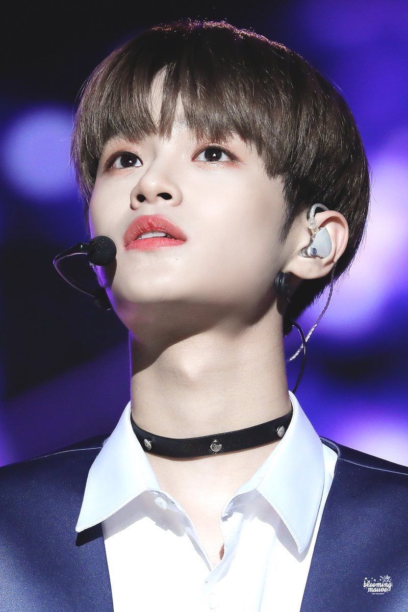 워너원 고화질 사진