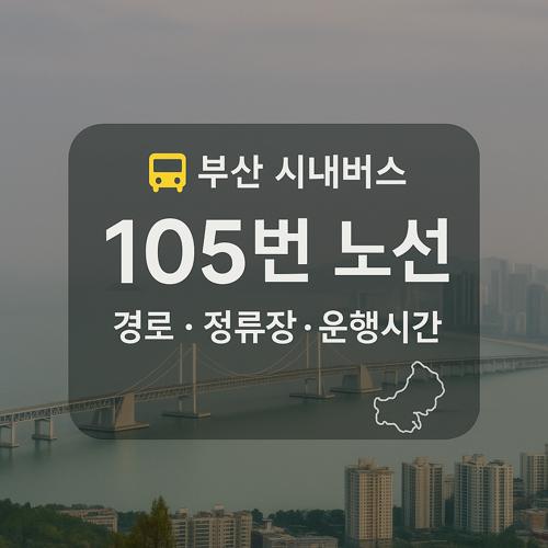 부산 105번 버스 노선 섬네일