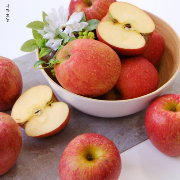 사과 효능│아침 사과 효능 알고 드세요!