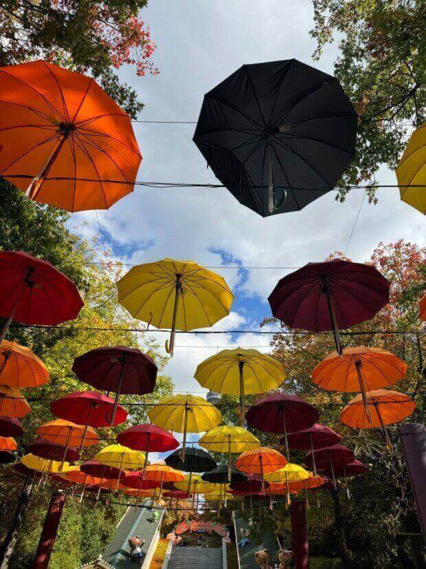 대구 이월드 놀이 공원 할인 혜택