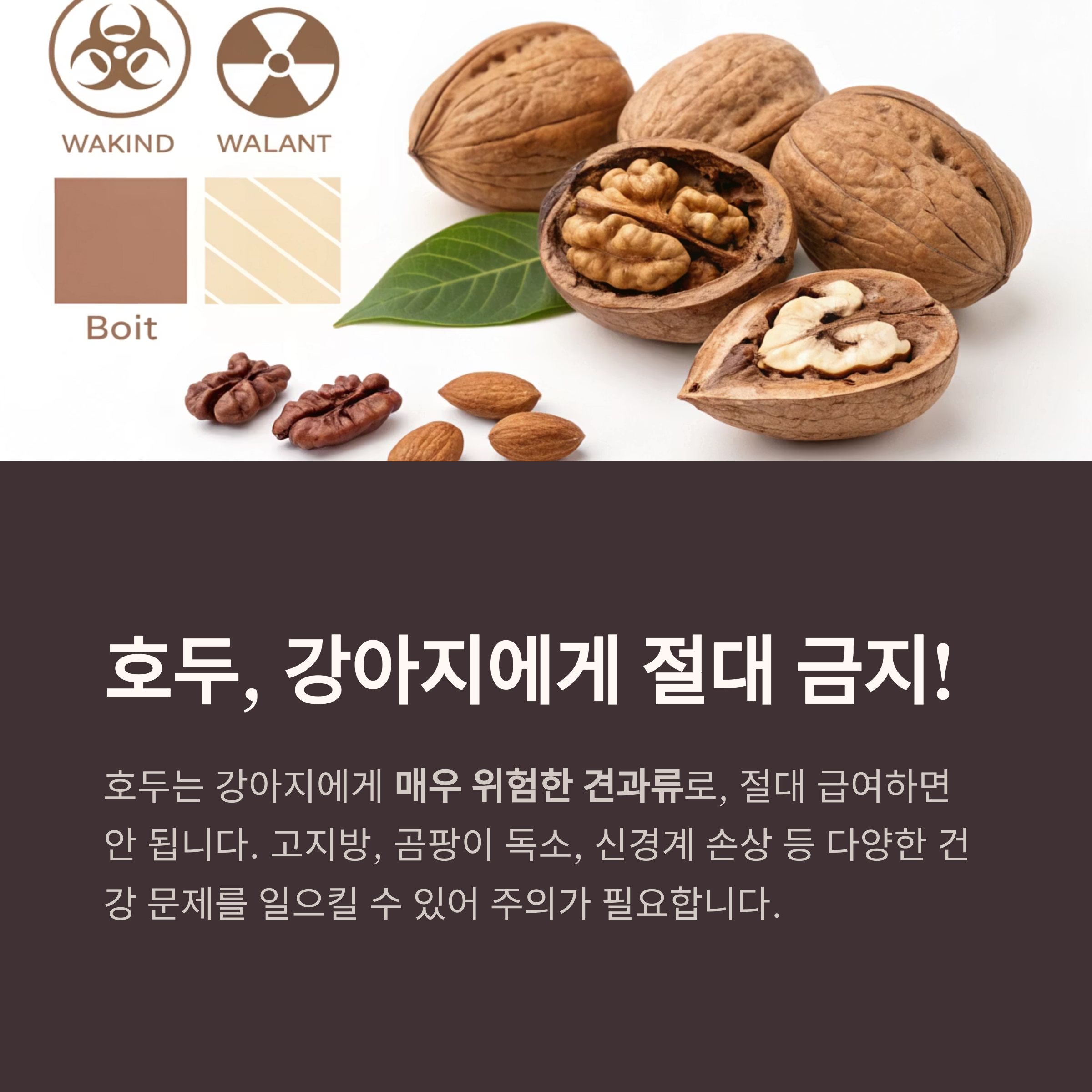 호두, 강아지에게 절대 금지!