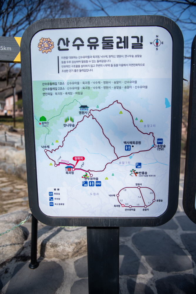 제26회 이천백사산수유꽃축제 일정 & 프로그램 안내/ 주차 안내