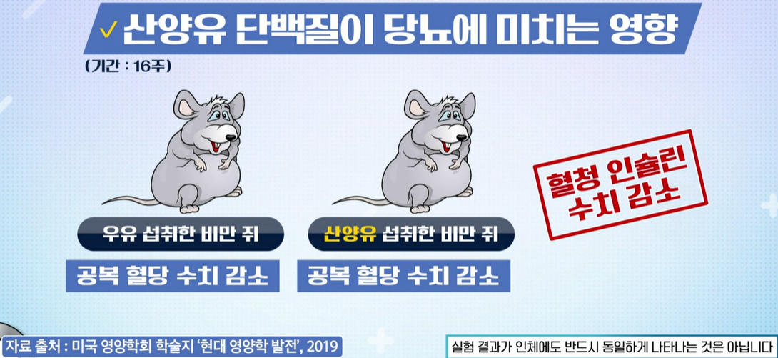 산양유 단백질 효능