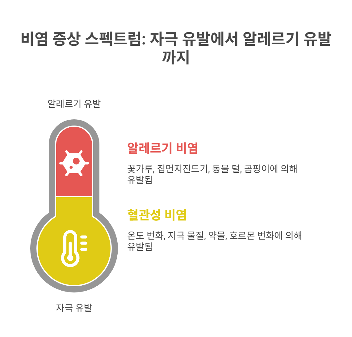 혈관성 비염과 알레르기 비염의 증상 비교표