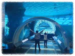 국립 해양 박물관