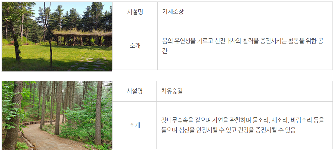 잣향기 푸른숲