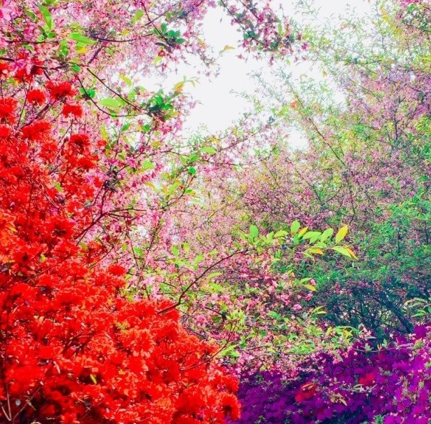 강진남미륵사사진