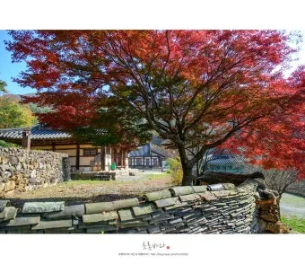 곡성 가볼만한곳 베스트10 기차마을 섬진강길 카페 산책_26
