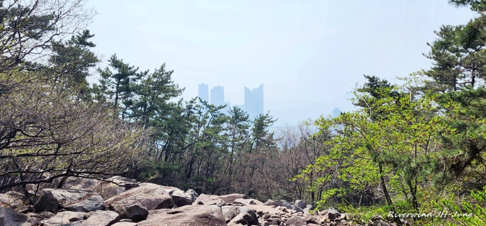 장산 너덜지대