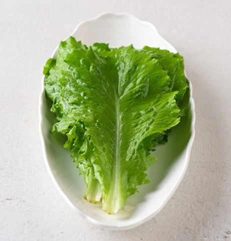 상추 효능 7가지