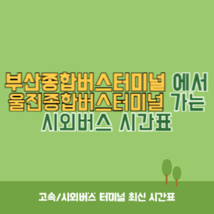 부산종합버스터미널에서 울진종합버스터미널 가는 시외버스 시간표 최신정보