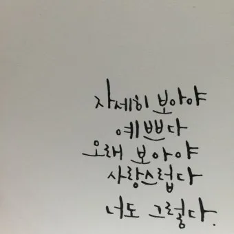 사랑하는 연인에게 좋은 글 모음집_13