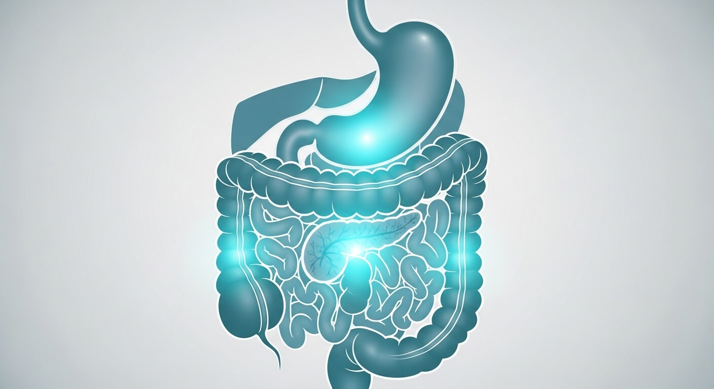 2026 건강이슈 소화기암 분석 (위암, 대장암, 췌장암)