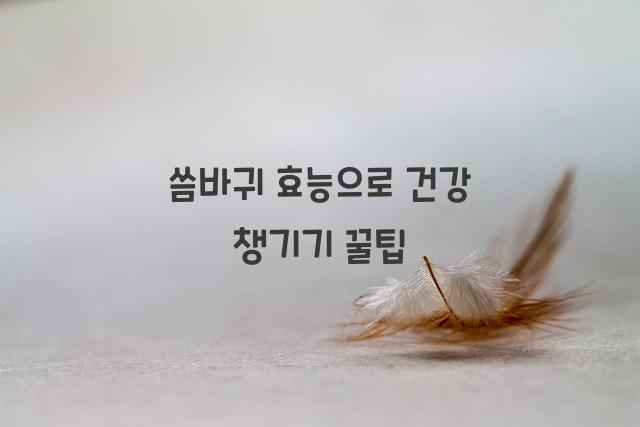 씀바귀 효능