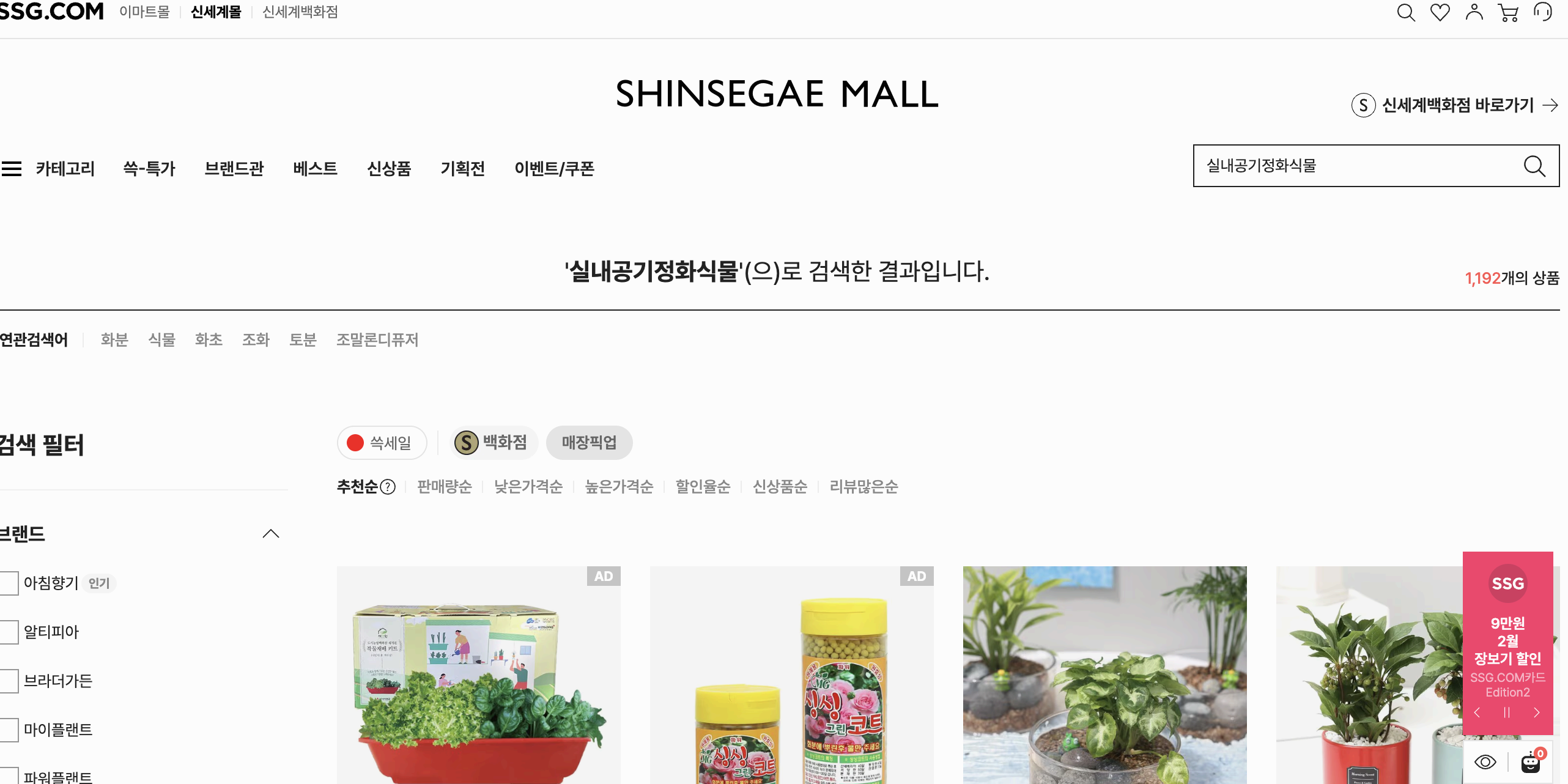 공기정화식물 어디서 살까?