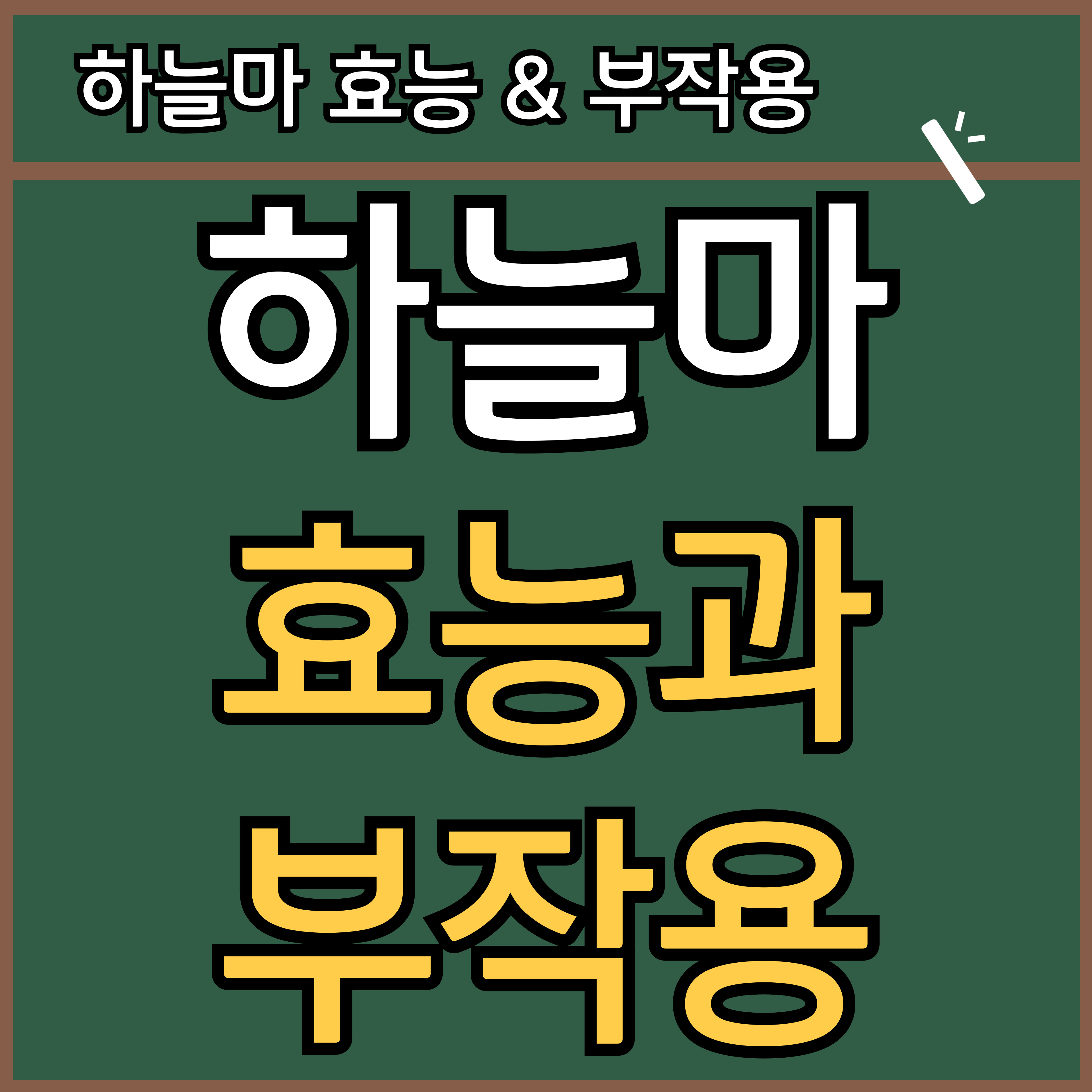하늘마 효능과 부작용 썸네일