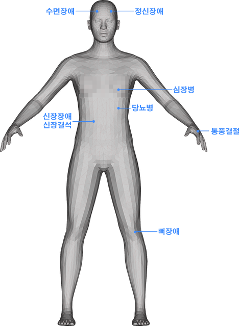 인체에 통증 발생 부위 안내