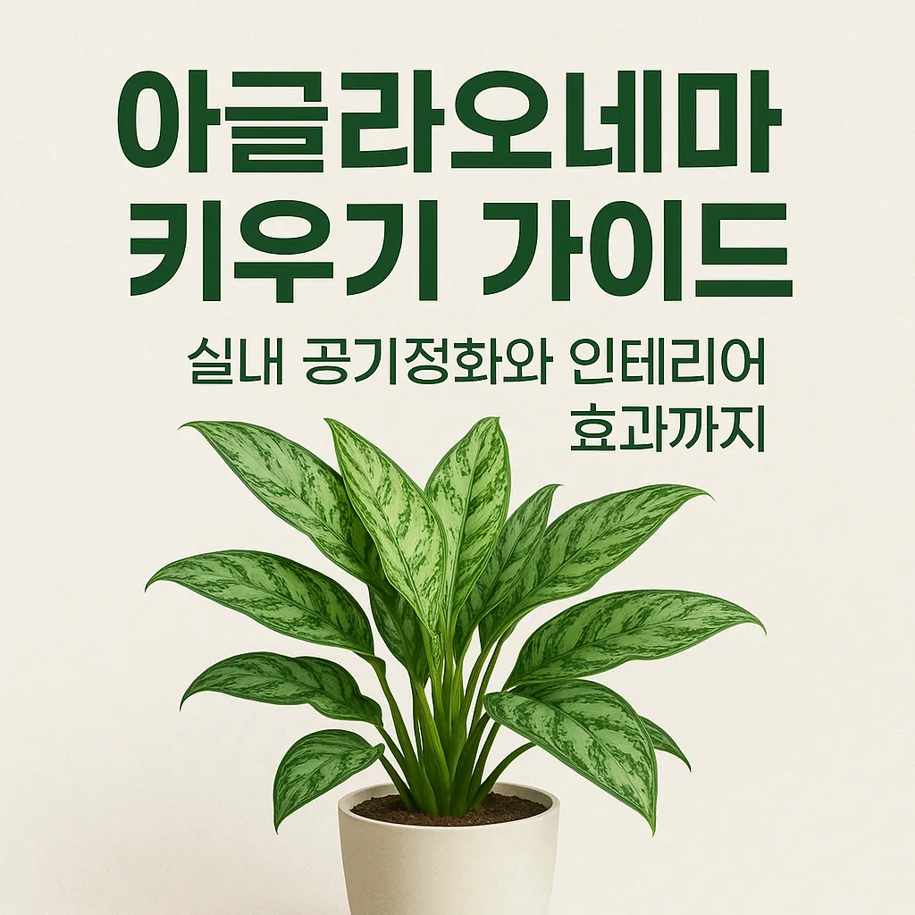 아글라오네마