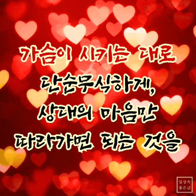 가슴이 시키는 대로 사랑하라는 감성적인 사랑 명언 이미지