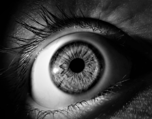 황반변성 증상 치료법 자가진단 원인 