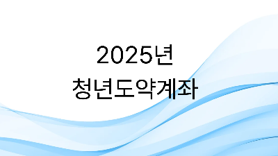 2025 청년도약계좌