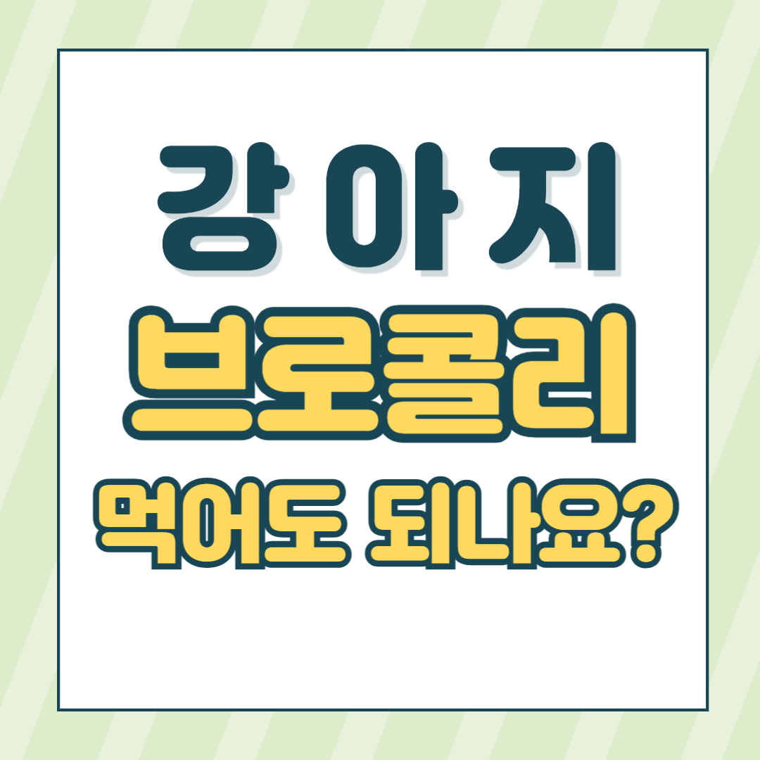강아지브로콜리