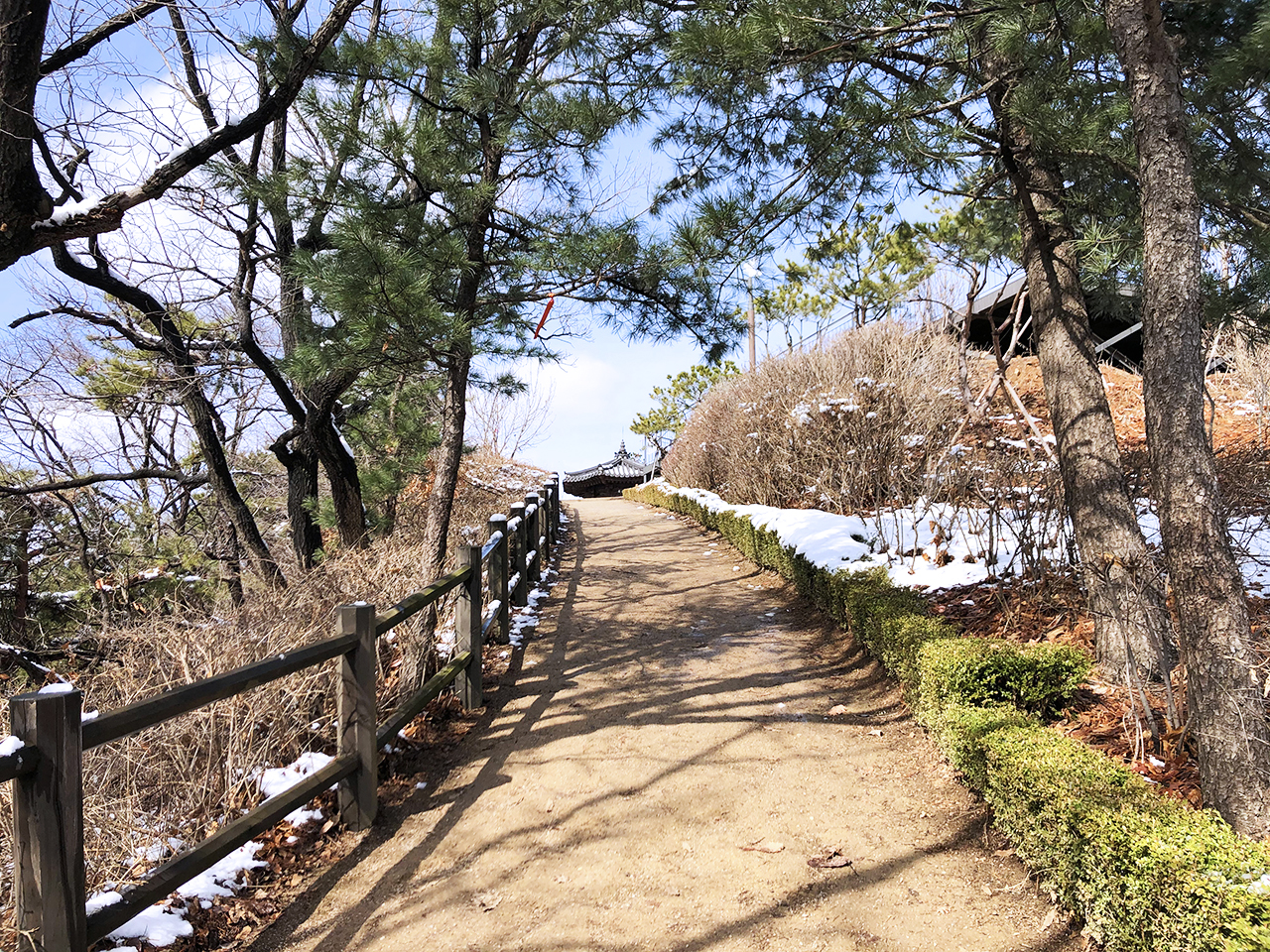 봉산 정상 가는 길