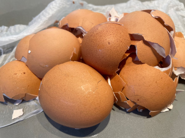 삶은 계란 10개의 껍질을 솔솔 쉽게 까는중